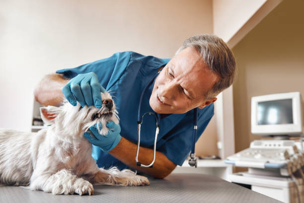 Best Emergency Root Canal Treatment in Linden, TX